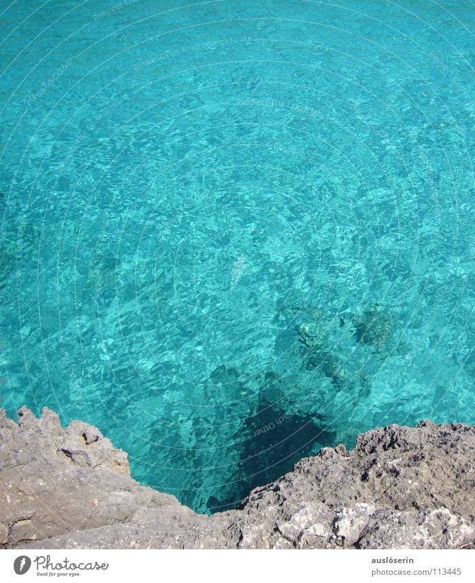 Klares Nass Meer Mallorca nass türkis Klippe Ferien & Urlaub & Reisen Wasser Klarheit blau