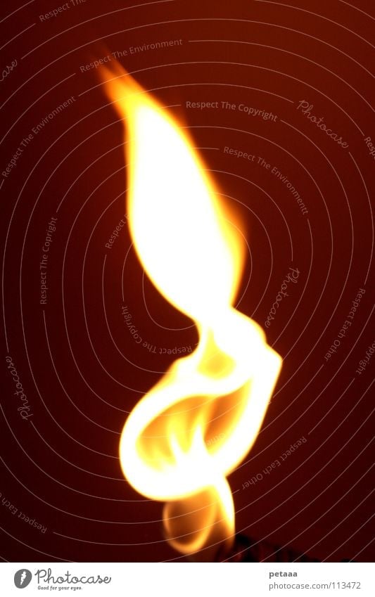 Flame I dunkel rot gelb schwarz Physik züngeln Erdgas Kohlendioxid Klimawandel Feuer Brand Flamme Flames hell orange Wärme Gas Propangas Bunsenbrenner