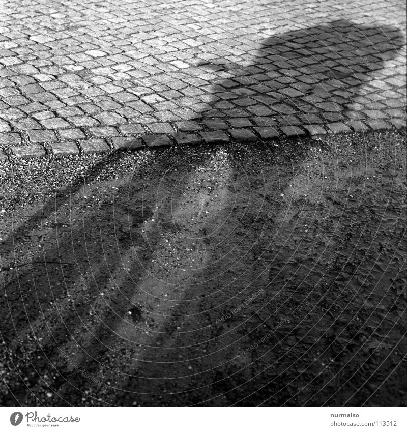Bikegnom Fahrrad Fahrer neutral Pfütze Platz Halt stoppen Geschwindigkeit Katzenkopf Stadt Verkehrswege Freude Schatten Bodenbelag angehalten gesehen einfach