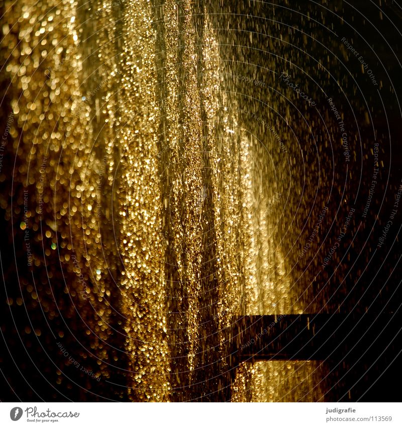 Goldregen Salzwerk Licht sprühen nass Saline Schwarzdorn Kur Abendsonne glänzend Silvester u. Neujahr Gesundheit Farbe schön Wasser Wassertropfen gold Regen