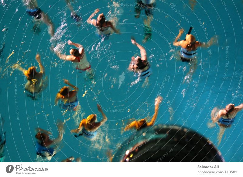 Schwimm Dein Ding Freude Schwimmen & Baden Wassersport Schwimmbad Arme Menschengruppe Wildtier Discokugel einzigartig kalt nass blau Leichtigkeit Aktion tief