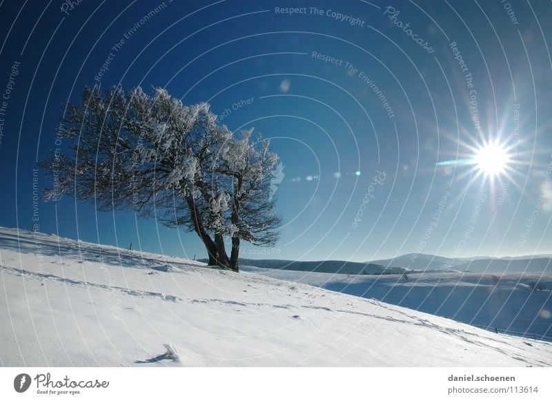Weihnachtskarte 15 Sonnenstrahlen Winter Schwarzwald weiß Tiefschnee wandern Freizeit & Hobby Ferien & Urlaub & Reisen Hintergrundbild Baum Schneelandschaft
