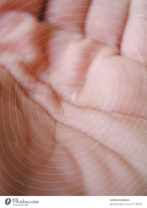 Lebenslinie Hand Handfläche Finger offen Pore leicht leer Makroaufnahme Hautfarbe Wahrsagerei berühren Gesundheit Linie Strukturen & Formen Detailaufnahme