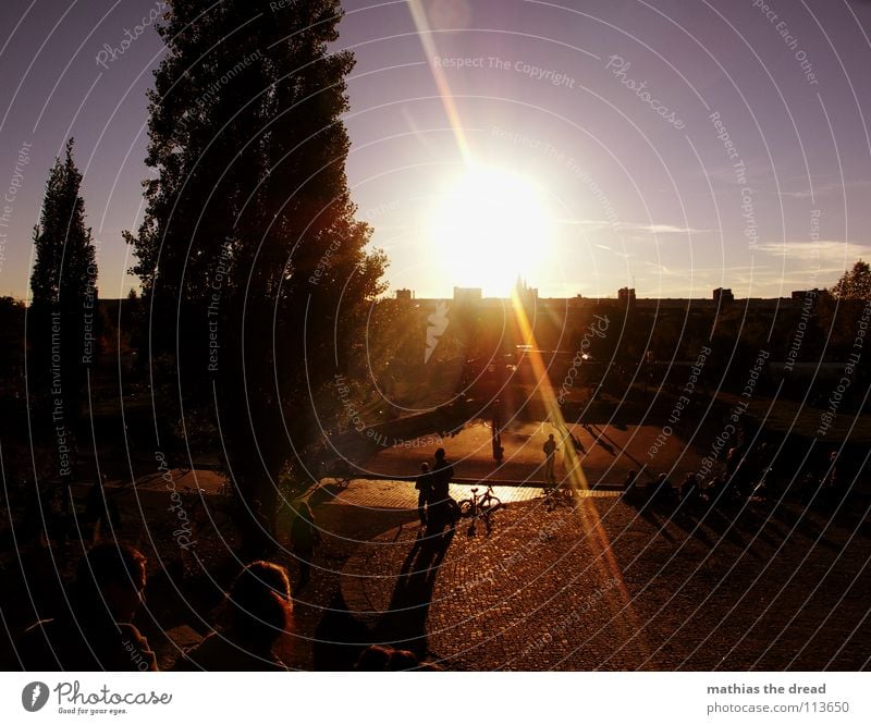 EINER DER LETZTEN HERBSTTAGE I Herbst Abend Physik Baum Anhäufung Garten Park schön schönes Wetter sonne Sonnenlicht Natur Wärme Himmel Schönes Wetter Mauerpark