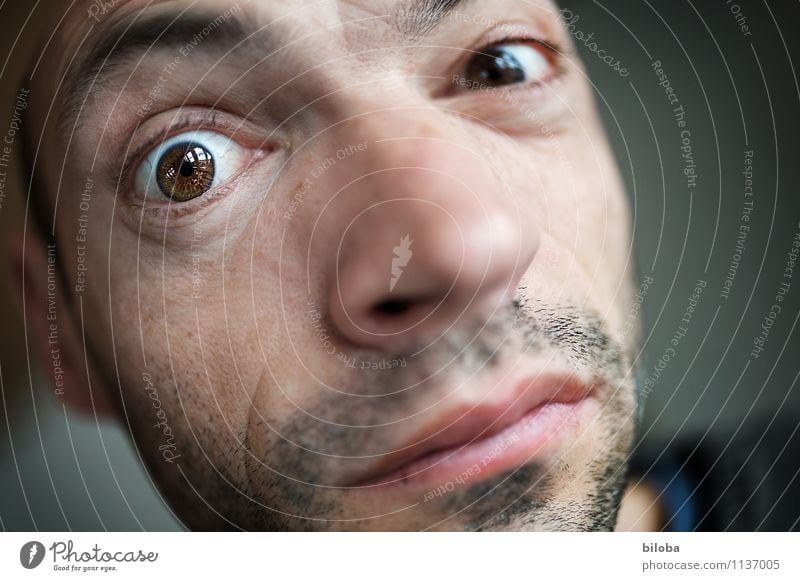 Blickst Du's? Mensch maskulin Mann Erwachsene Auge 1 30-45 Jahre Durchblick Farbfoto Textfreiraum rechts Schwache Tiefenschärfe Blick in die Kamera