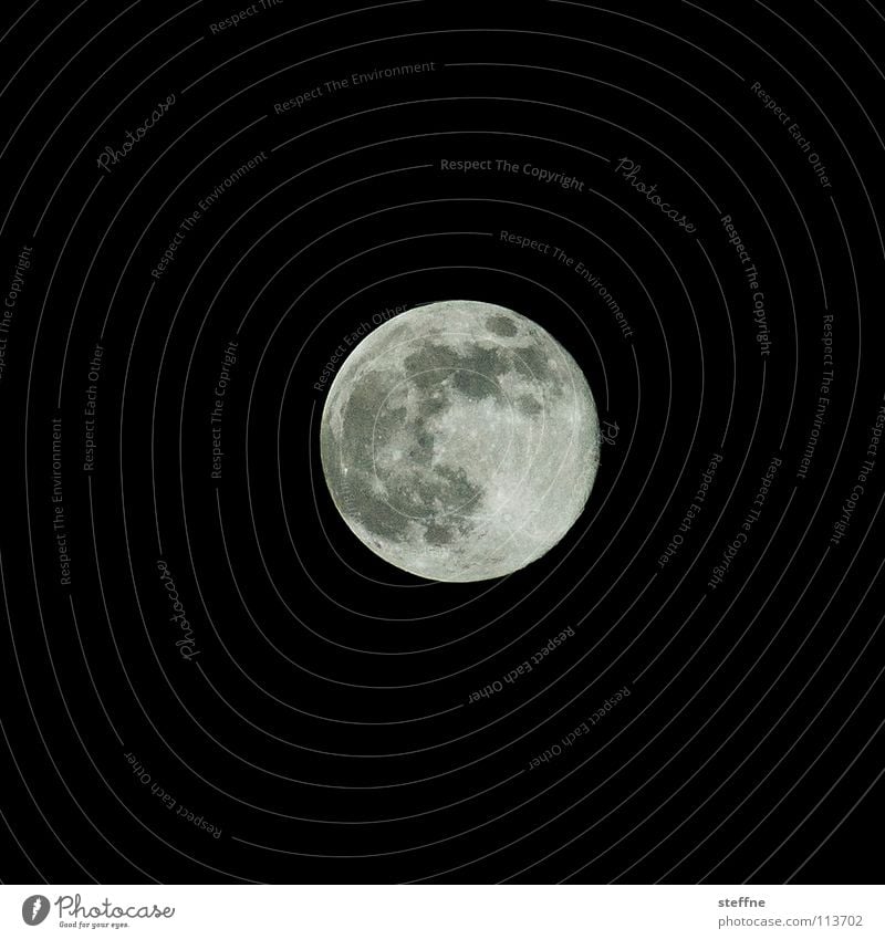 Plattencover Mondschein Vollmond Beleuchtung Werwolf Wolf Hund Oberfläche Mondsüchtig Observatorium Tierkreiszeichen mystisch Gezeiten Ebbe Planet NASA Satellit