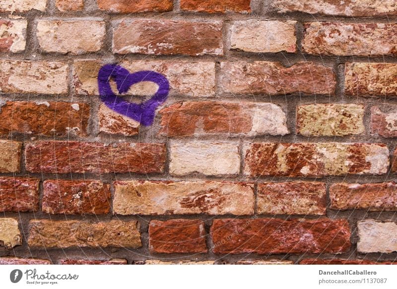 Herz au(f)s Stein Haus Mauer Wand Zeichen Graffiti violett rot Gefühle Glück Zufriedenheit Lebensfreude Frühlingsgefühle Sympathie Liebe Verliebtheit Romantik