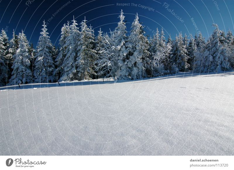 Weihnachtskarte 16 Winter Schwarzwald weiß Tanne Nadelwald Wald Tiefschnee wandern Freizeit & Hobby Ferien & Urlaub & Reisen Verhext mystisch abstrakt
