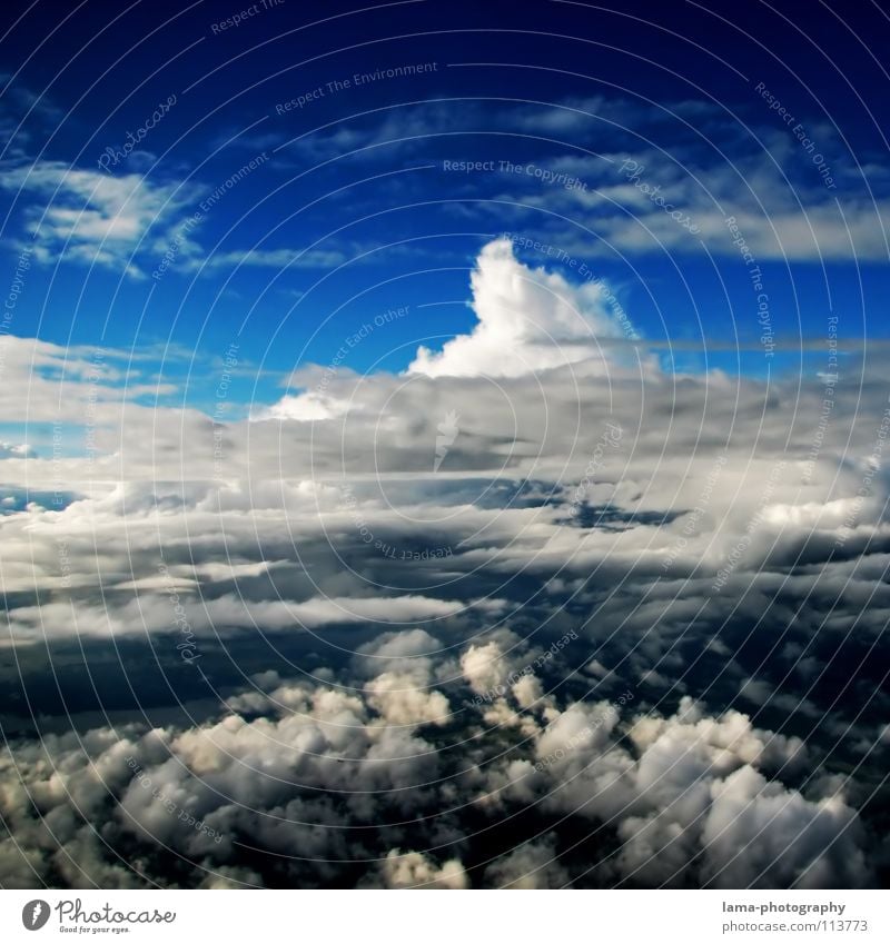 Endless Sky Wolken Wolkenformation Himmel blau hell-blau Formation über den Wolken Regenwolken Kumulus Wolkenberg Beleuchtung Watte Zuckerwatte weich Fallschirm