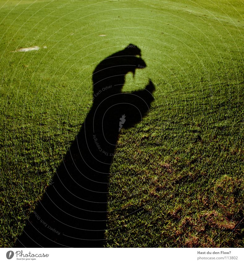 Seht selbst! Wiese Gras grün Hügel Traumwelt Traumland Golfplatz Feindschaft verfolgen Winter Dezember saftig schön kalt Schal Monster Krallen böse gefährlich