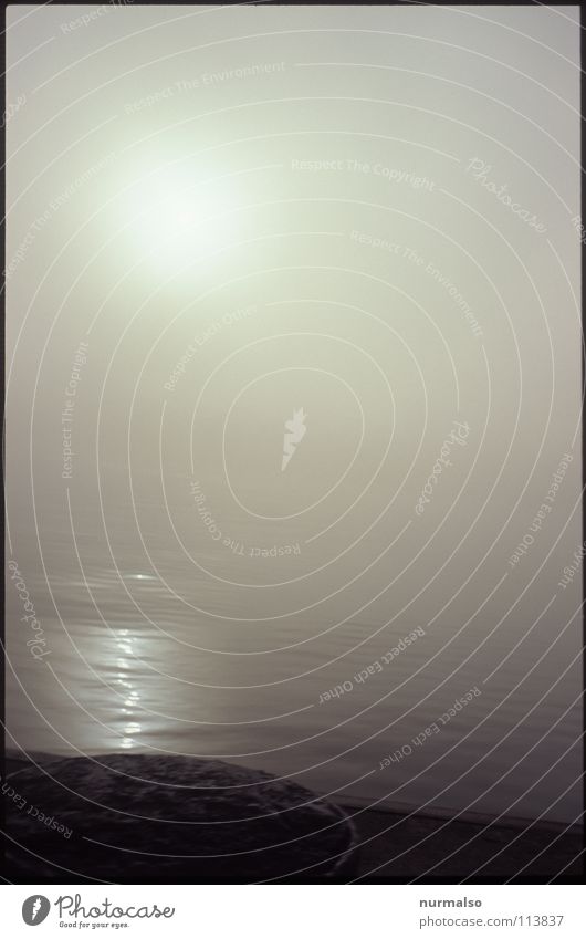 Nebel des Grauens 6 Herbst Gewässer grauenvoll unsichtbar Potsdam fein Stimmung Kongress Wasserfahrzeug untergehen Riff aufsteigen Anlegestelle Mole Angst Panik