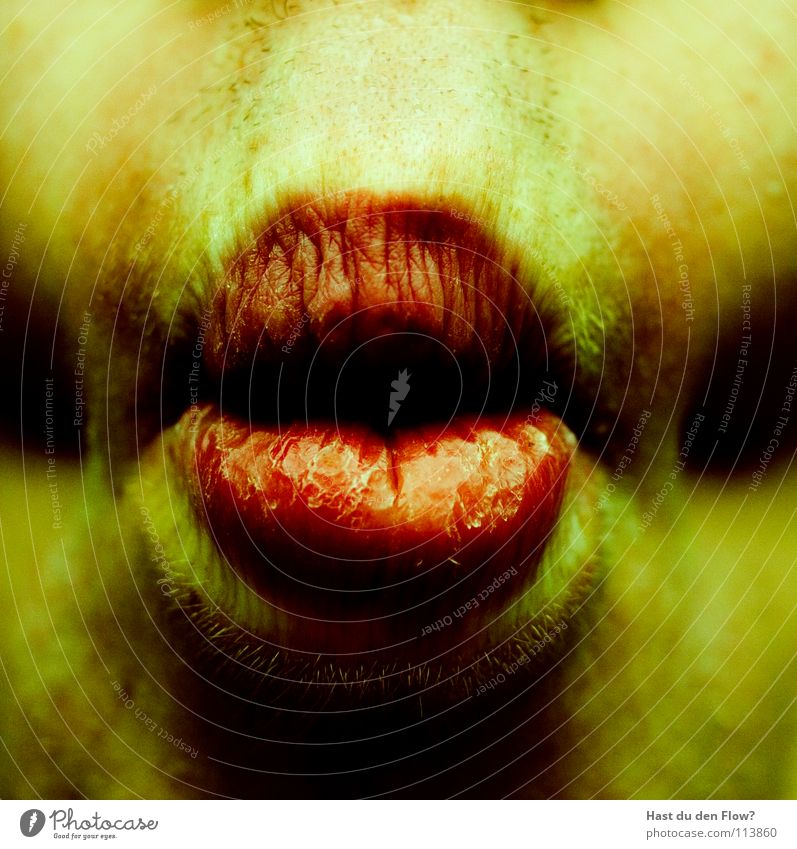 Alien rot Lippen Ernährung lecker Unterlippe Zungenkuss Oberlippe gelb Rauschmittel Fischmaul Vergänglichkeit Mensch Trauer Verzweiflung tongue Mund Haut