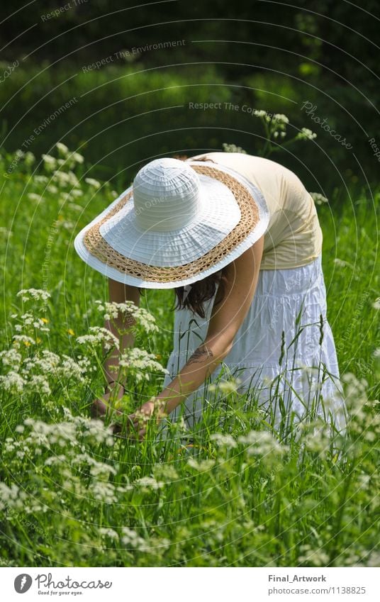 Blumenmädchen Junge Frau Jugendliche 1 Mensch 18-30 Jahre Erwachsene Natur Pflanze Sonnenlicht Sommer Schönes Wetter Park Burg oder Schloss Garten Rock Hut