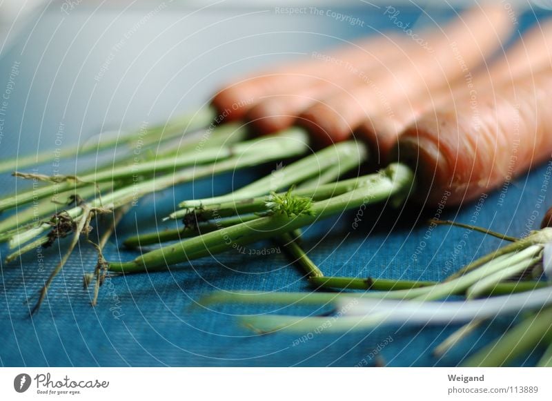 Rübe ab? Möhre Bioprodukte Erntedankfest Landwirtschaft Küche lecker frisch roh grün dreifarbig Gemüse Ernährung Gelbe Rüben Natur orange blau
