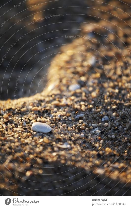 Sandy, wie sandig am Strand. Kunst ästhetisch Zufriedenheit Muschel Muschelform Muschelsand Muschelschale Sandstrand Strandspaziergang Urlaubsstimmung