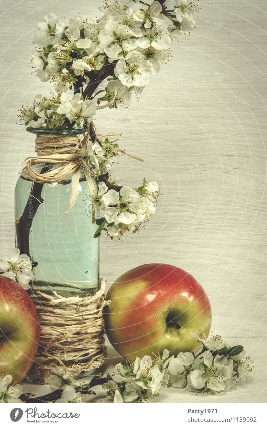 Blütenzweig mit Apfel Frucht Dekoration & Verzierung Stillleben Pflanze Zweig Apfelblüte Glasflasche Vase Blühend Duft retro ästhetisch Nostalgie ruhig