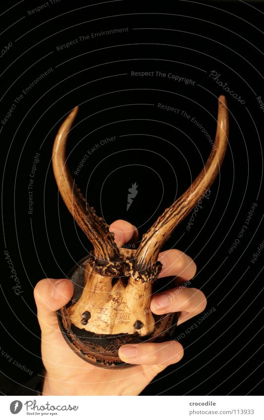 hirschhand Hirsche Reh Horn Hand Low Key Finger Tier Defensive Holz Skelett 1910 Tod erschossen alt festhalten umklammern Mensch Mord