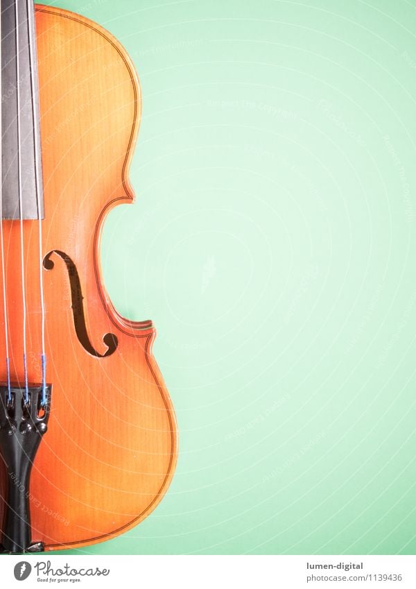 Geige auf grünem Untergrund Musik Konzert alt streichen gelb Bratsche Hintergrundbild instrument Klassik musizieren oper Saite Schramme Streichinstrumente