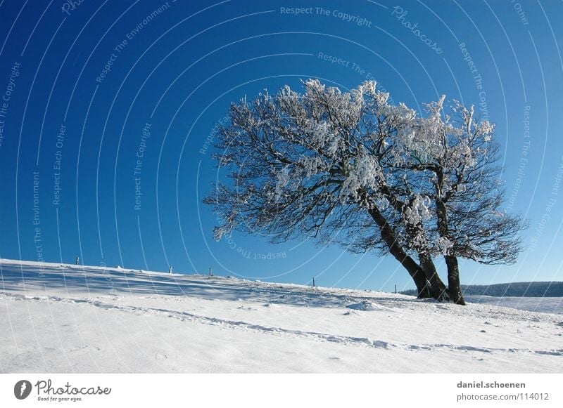 Weihnachtskarte 19 Winter Schwarzwald weiß Tiefschnee wandern Freizeit & Hobby Ferien & Urlaub & Reisen Hintergrundbild Baum Schneelandschaft Horizont