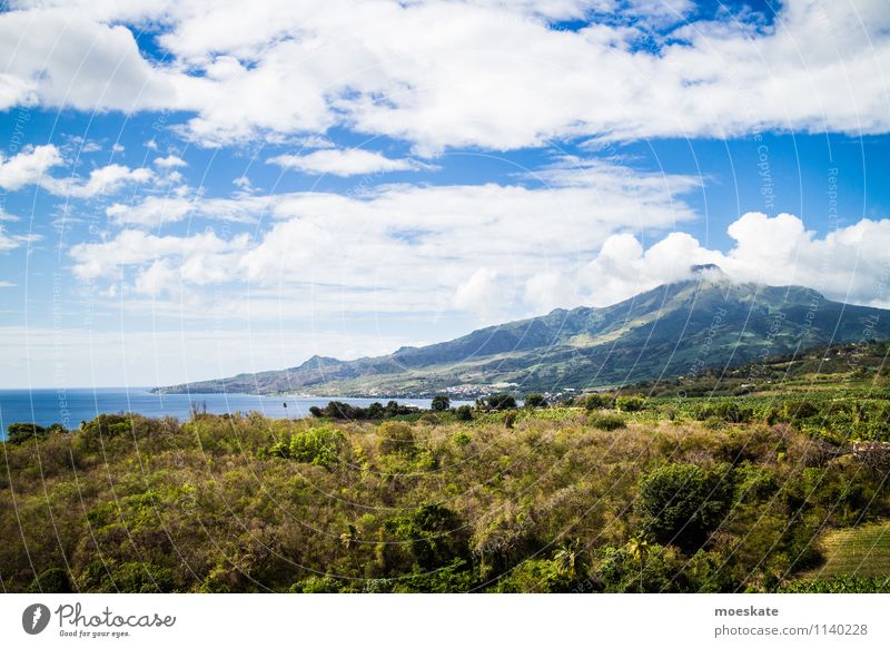 Montagne Pelée Martinique Berge u. Gebirge Vulkan Meer blau grün Karibik Vulkaninsel Frankreich Wolken Wald Farbfoto Gedeckte Farben Außenaufnahme Menschenleer
