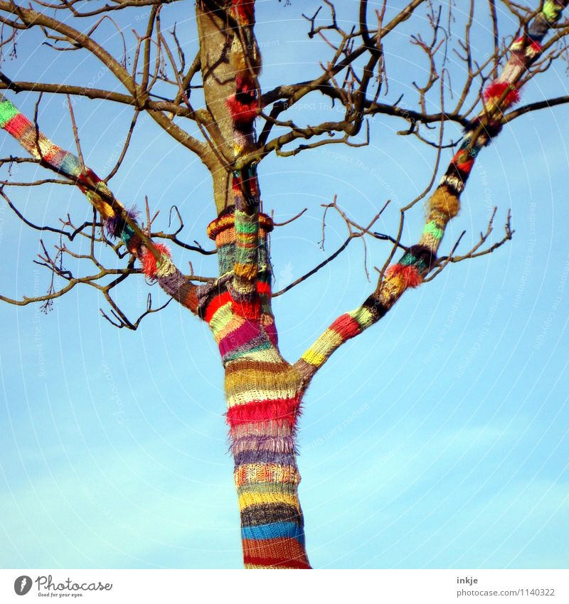 ab in den Frühling! Lifestyle Freude Freizeit & Hobby Handarbeit stricken Natur Himmel Herbst Schönes Wetter Baum Wolle Linie Streifen Spirale gestreift