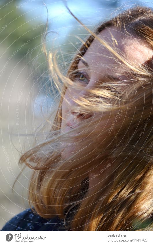 windig | vom Winde verweht Mensch feminin Frau Erwachsene Kopf 1 Umwelt Wasser Sonne Klima blond langhaarig Gefühle Lebensfreude Bewegung Freiheit Gesundheit