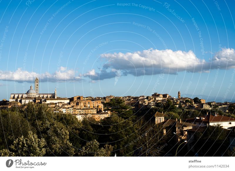 Around the World: Siena Schönes Wetter Tourismus Toskana Italien Dom Hügel Wolken Frühling Abenddämmerung Textfreiraum oben