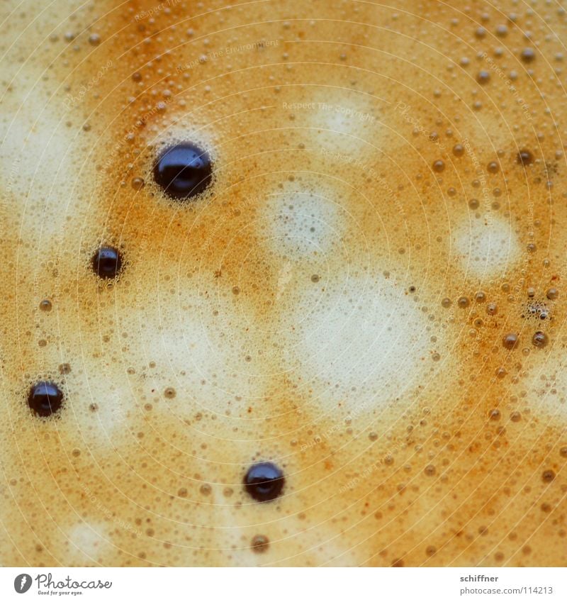 Kaffeemaum Kaffeeschaum Kaffeetrinken Milchkaffee Latte Macchiato Espresso Schaum Luftblase Vogelperspektive Crema Cappucino Plup genießen Kraterlandschaft