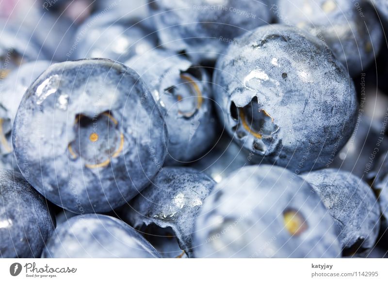 Blaubeeren Beeren Frucht waldbeeren Vitamin nah Nahaufnahme Makroaufnahme Ernährung Bioprodukte Biologische Landwirtschaft Dessert frisch Wassertropfen Tropfen