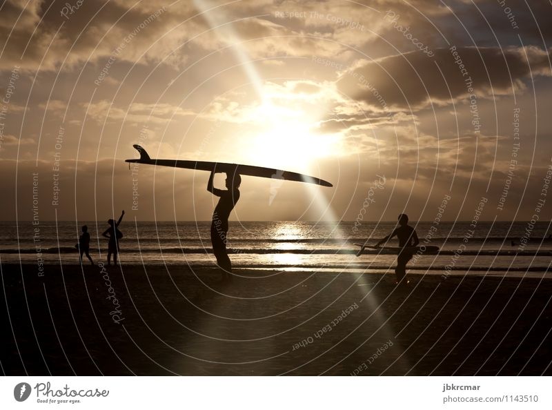 Surfer im Sonnenuntergang in Mauritius surfer surfen wassersport freizeit meer strand sonne urlaub sommer sonnenuntergang silhouette freiheit hobby surfbrett
