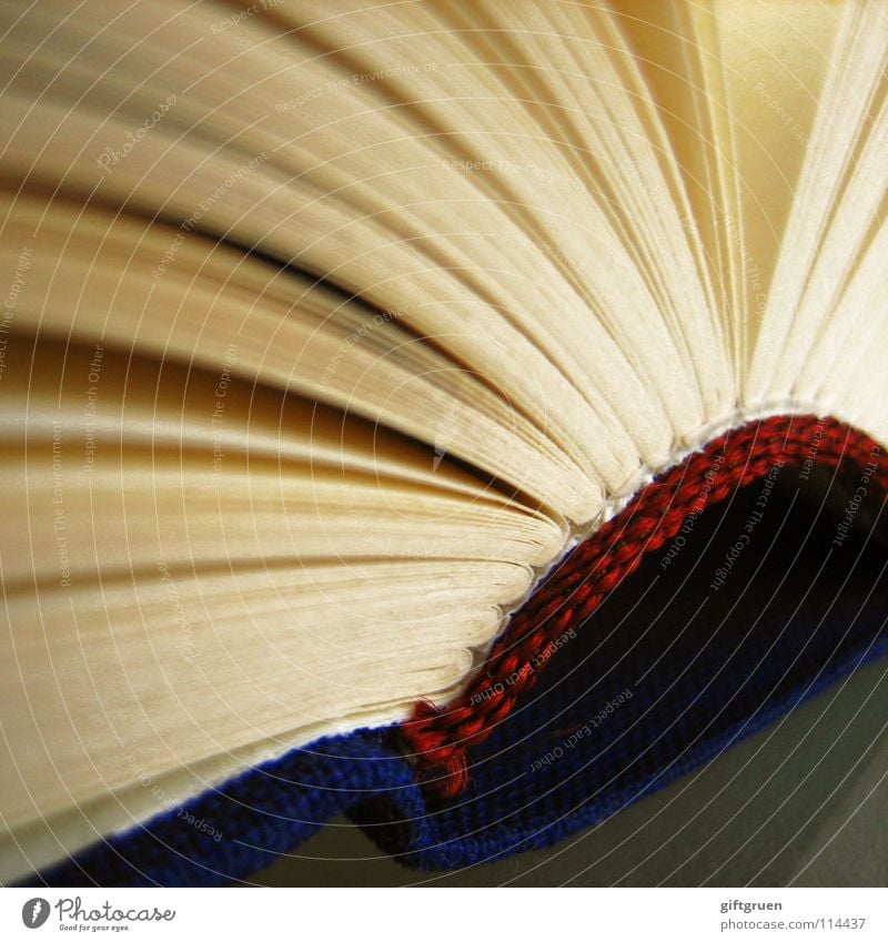 seitenweise Buch lesen Literatur Bildung Fächer binden gebunden weiß rot Makroaufnahme Nahaufnahme Studium Seite blättern Rücken blau