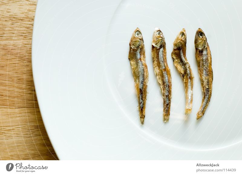 Findet Nemo 4 Trockenfisch Katzenfutter Diät zählen trocknen Delikatesse Feinschmecker Meeresfrüchte Teller Holz Schneidebrett Gastronomie rückwärtszählen
