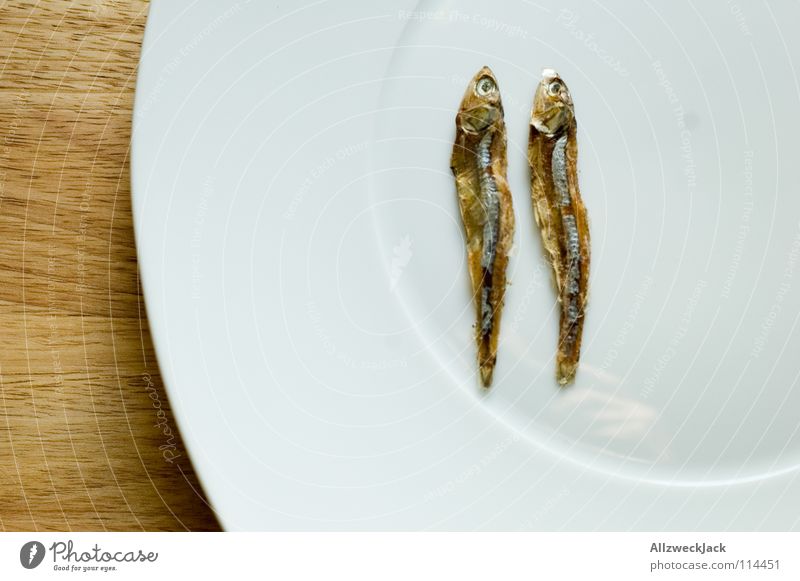Das doppelte Sprottchen 2 Trockenfisch Katzenfutter Diät zählen trocknen Delikatesse Feinschmecker Meeresfrüchte Teller Holz Schneidebrett Einsamkeit