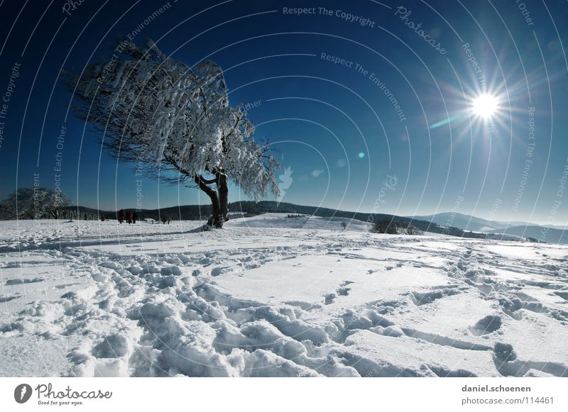 Weihnachtskarte 22 Sonnenstrahlen Winter Schwarzwald weiß Tiefschnee wandern Freizeit & Hobby Ferien & Urlaub & Reisen Hintergrundbild Baum Schneelandschaft