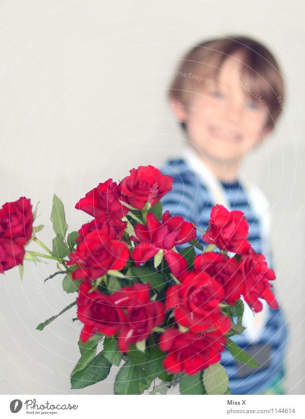 Nur das Beste Feste & Feiern Valentinstag Muttertag Geburtstag Mensch maskulin Kind Junge 1 3-8 Jahre Kindheit Blume Rose Lächeln lachen Gefühle Stimmung