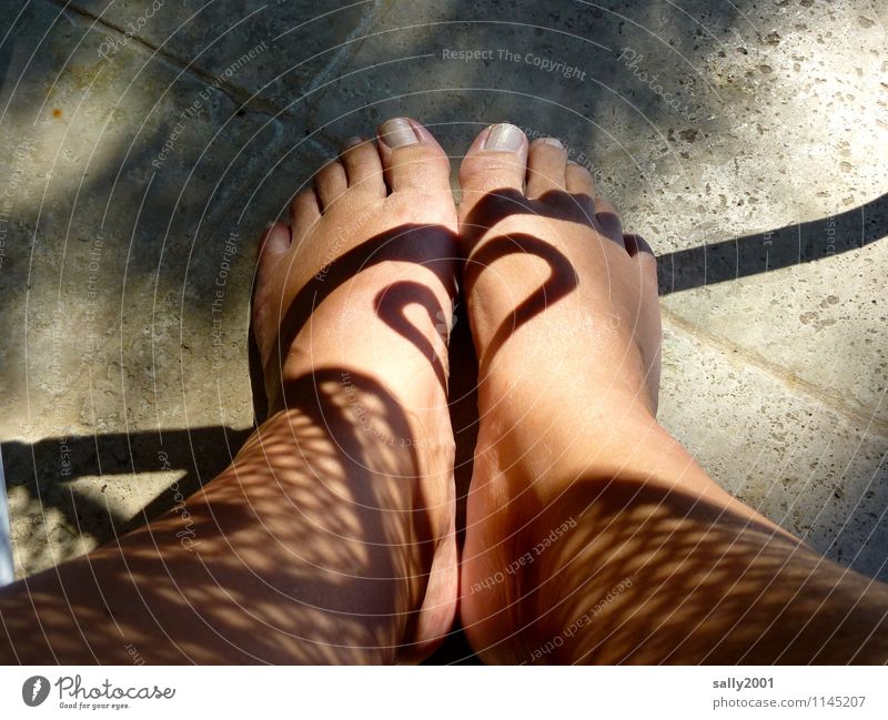 Sonne statt Tattoo... feminin Frau Erwachsene Beine Fuß 1 Mensch Schönes Wetter leuchten ästhetisch außergewöhnlich fantastisch nackt Design schön Schattenspiel