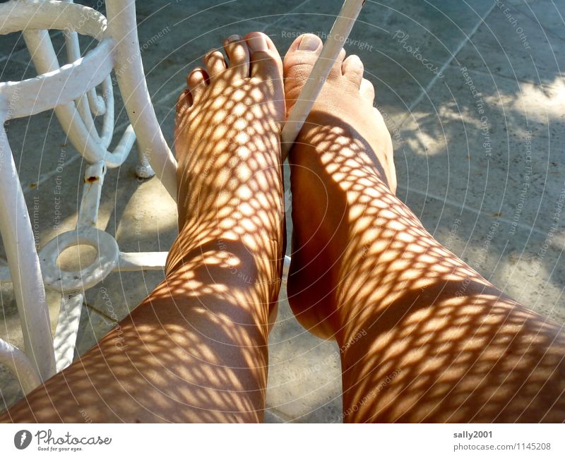 Bodypainting... Tisch Mensch feminin Haut Beine Fuß 1 Erholung ästhetisch exotisch Muster Pflasterweg Schattenspiel Tattoo bemalt Netz Netzstrümpfe Farbfoto