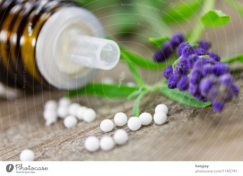 Globuli globuli Alternativmedizin Heilpraktiker arnica Erholung Gesundheit Gesundheitswesen Jahreszeiten Makroaufnahme Medikament Lavendel Nahaufnahme Massage