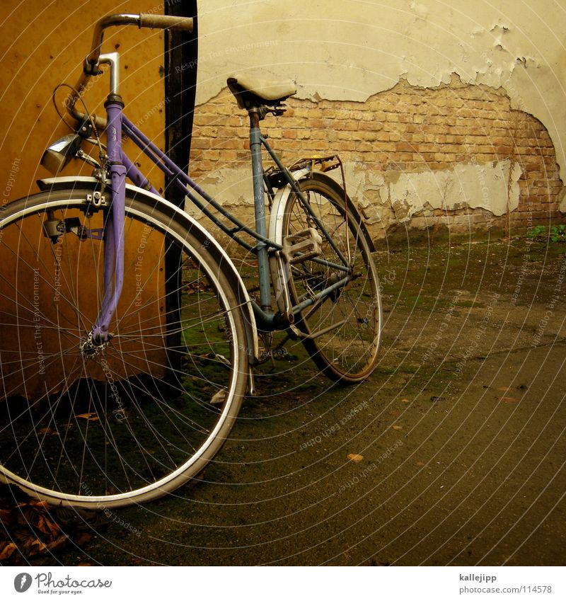 99.941 Fahrrad Oldtimer Rad Hinterhof Gitter Einfahrt Abstellplatz Billig ökologisch Klimaschutz Gummi Silhouette Ständer Mauer Rücklicht Kotflügel Felge