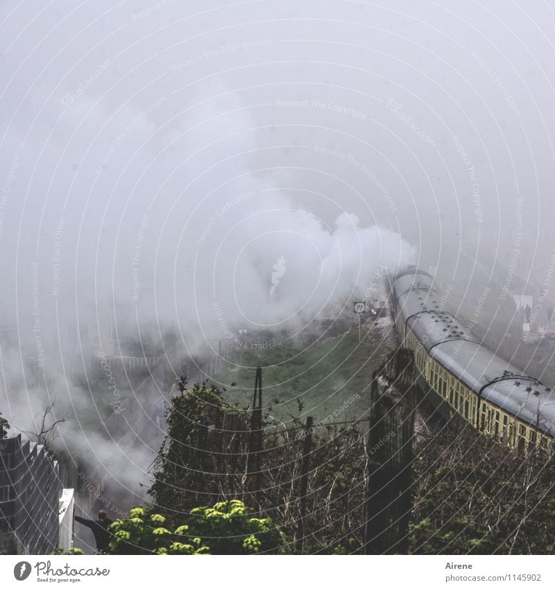 abdampfen Nebel Eisenbahn Wolken Nostalgie Dampflokomotive Personenverkehr Bahnfahren Schienenverkehr Lokomotive Personenzug Bahnhof Bahnsteig Bahnübergang