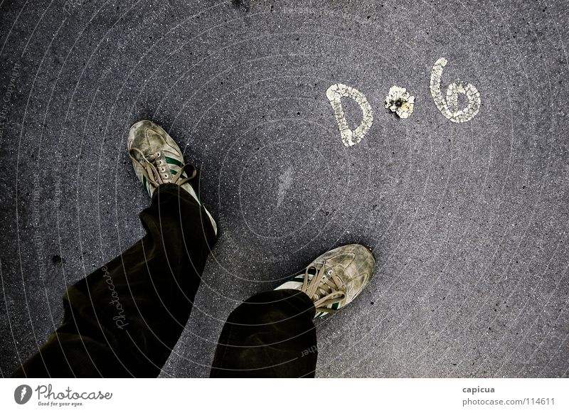 Dog Hund Verkehrswege Graffiti Wandmalereien dog tenis shoes Detailaufnahme feet pants pavement writing paint boardwalh Turnschuh casual corduroy man two