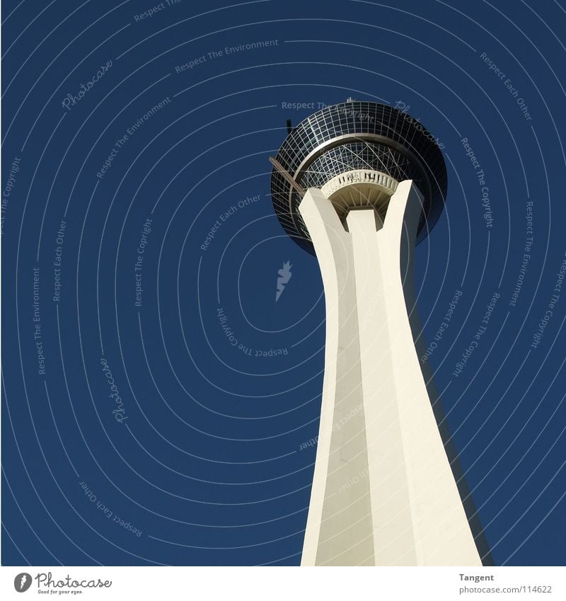 Beton Pilz Las Vegas verlieren Poker Restaurant Wahrzeichen Denkmal modern Himmel blau Schönes Wetter Turm Stratosphere Aussicht Spielkasino Schatten