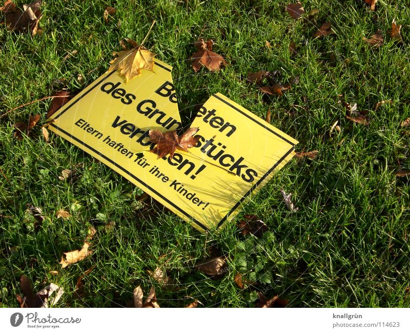 Gilt nicht! Verbote kaputt Wiese Herbst Blatt Vandalismus grün gelb braun gefährlich Warnhinweis Warnschild Schilder & Markierungen Rasen
