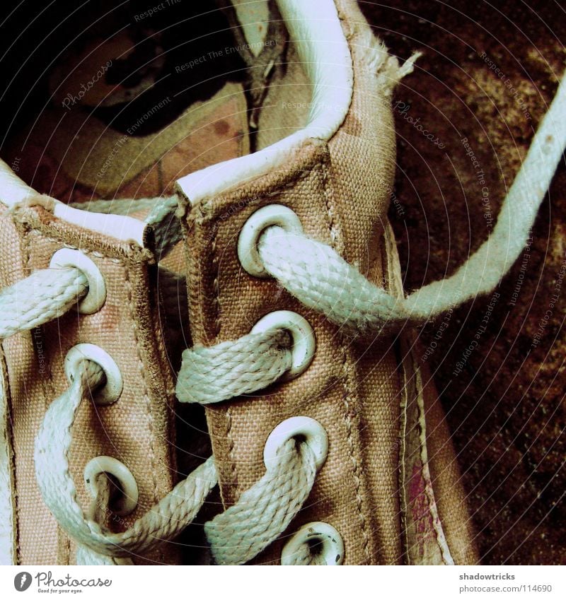 Ein alter Schuh Schuhe Bekleidung gehen Turnschuh Textilien Stoff Unschärfe Schuhbänder schwarz zyan dunkel Instant-Messaging gebraucht Footwear Detailaufnahme
