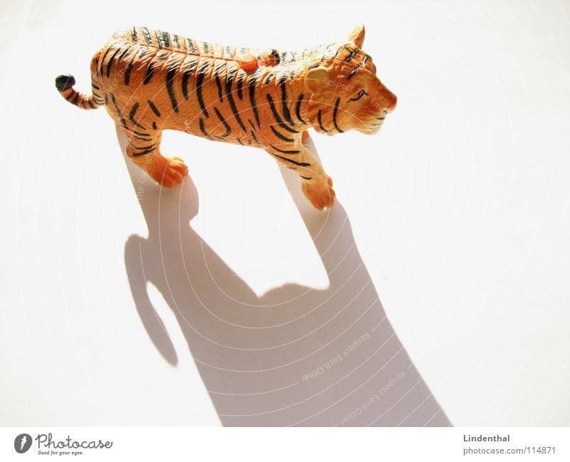 TIGER Tiger Tier Landraubtier Fell gestreift Spielzeug böse drücken Pfote Schwanz Säugetier Schatten Statue