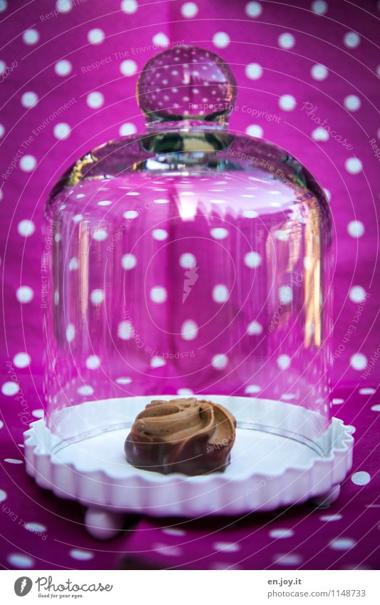 beschützt Lebensmittel Dessert Süßwaren Schokolade Kaffeetrinken Büffet Brunch Käseglocke Glas frech Fröhlichkeit frisch trendy lecker rund süß rosa