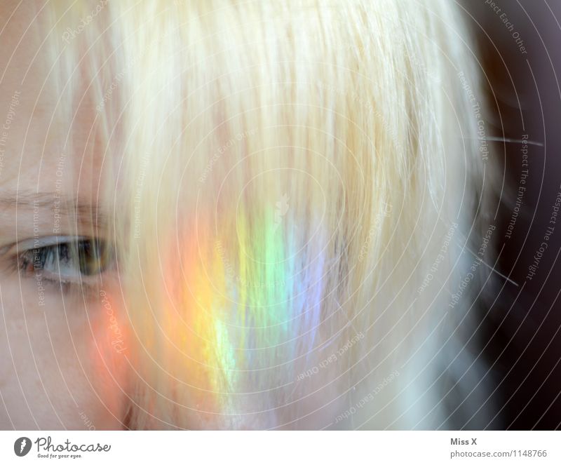 Regenbogenblond schön Haare & Frisuren Mensch Junge Frau Jugendliche Auge 1 18-30 Jahre Erwachsene Pony glänzend mehrfarbig regenbogenfarben Haarfarbe candyhair