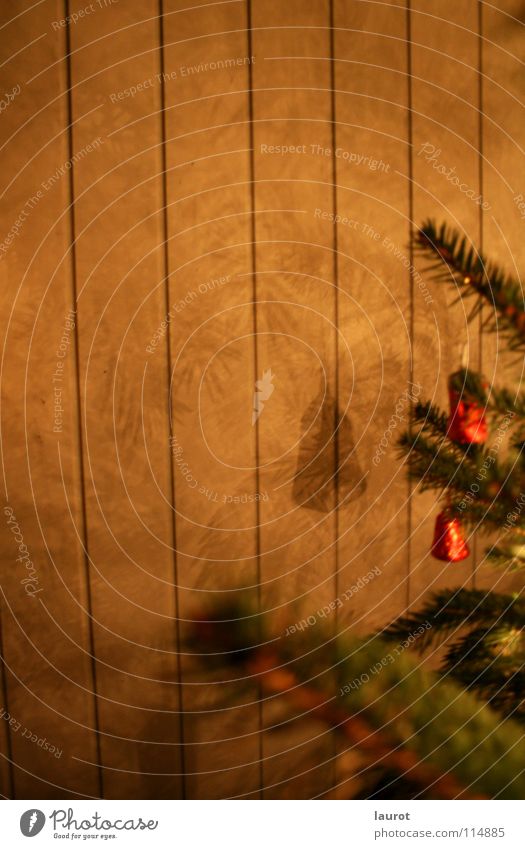 Glockenspiel Weihnachten & Advent Nacht dunkel grün Licht Winter Dekoration & Verzierung Tanne Schatten Zweig Abend Selbstportrait