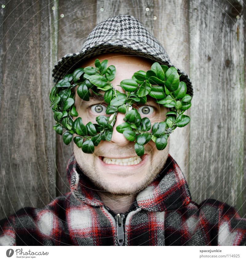 Grüne Brille Mann Porträt Wand Holz grün Blatt Durchblick Freak Humor skurril Freude Hut Strukturen & Formen Buchs Buchsbaum Buxus Natur freaky