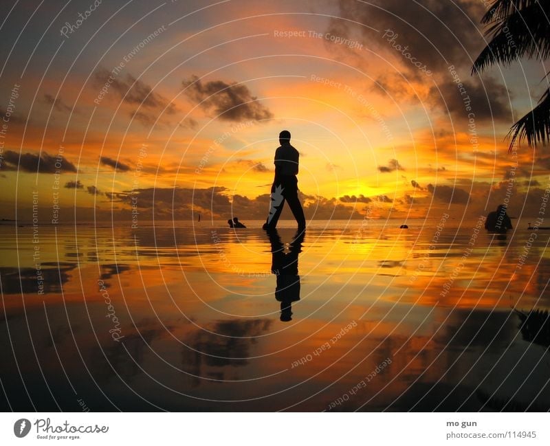 walking on water Sonnenuntergang Asien mehrfarbig Meer Spiritualität perfekt Reflexion & Spiegelung Schwimmbad Ferien & Urlaub & Reisen Malediven Romantik Mann